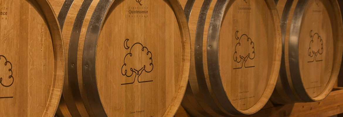 Bodega Encina Blanca de Alburquerque