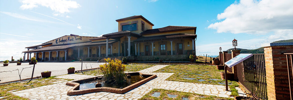 Bodegas Ruiz Torres