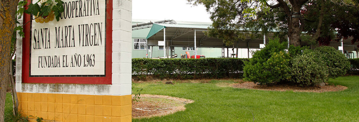 Bodega Santa Marta Virgen