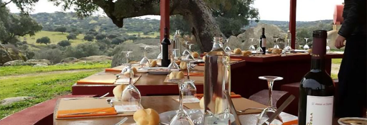 Come y Calla Catering