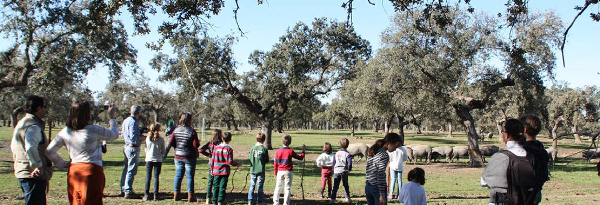 Ganatur Turismo Rural