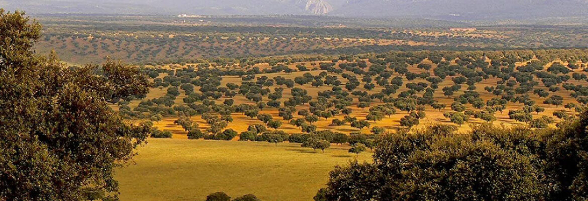 Mil Rutas por Extremadura