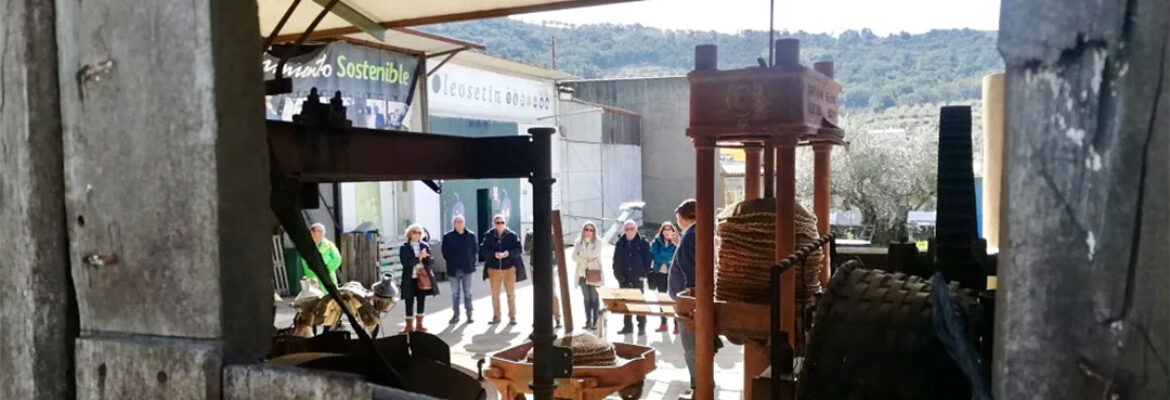 Oleosetin – Setin Rural