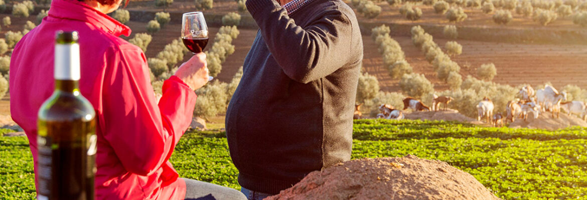 Armonía en Solocabra