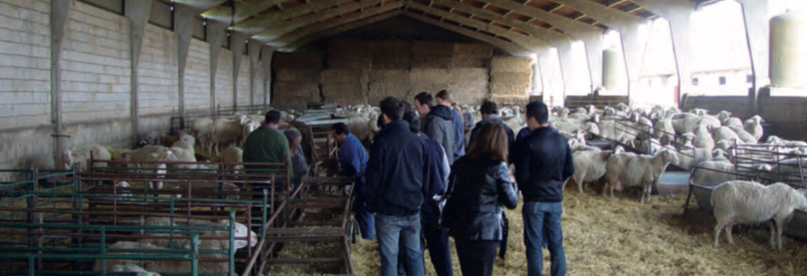 El Castúo, generación tras generación