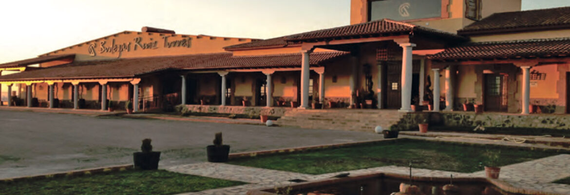 Visita a bodegas Ruiz Torres