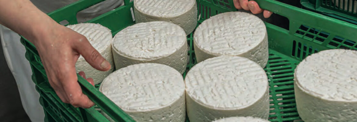 Un queso que despierta pasiones