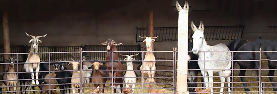 Finca Ganadera Las Lucías