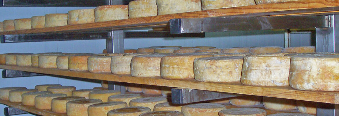 Quesería de Campo Atalaya