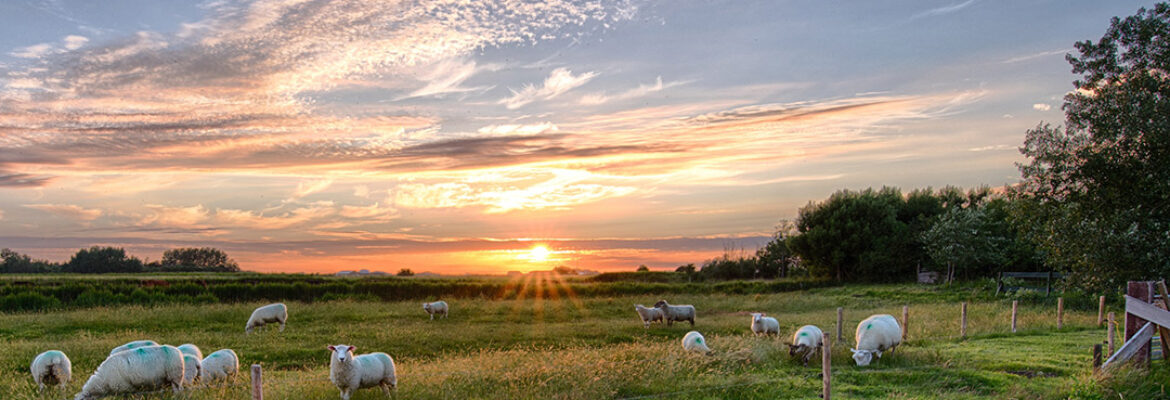 Quesería García Risco