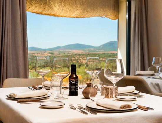 Asador Cigüeña Negra