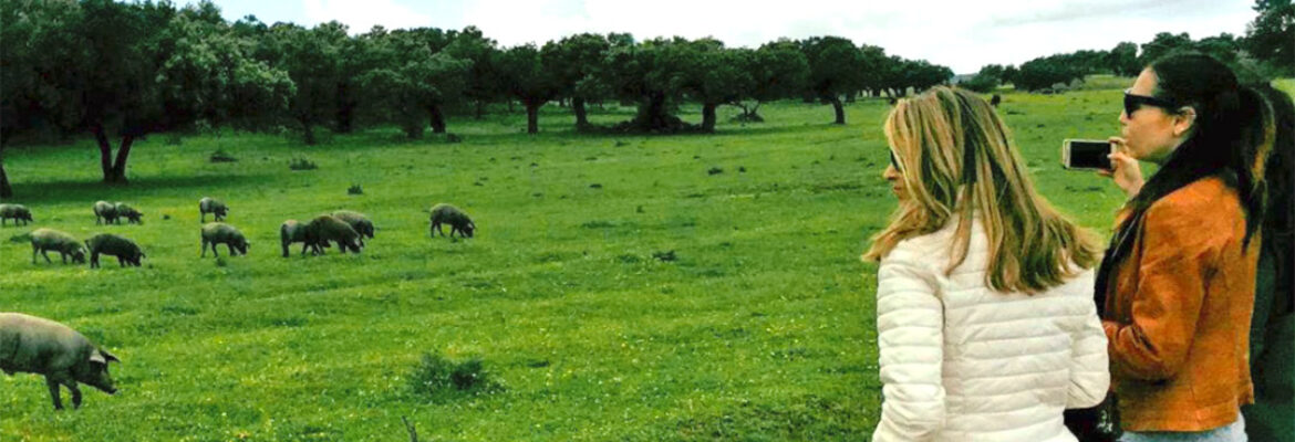 Gastronomía, dehesas y jamón ibérico