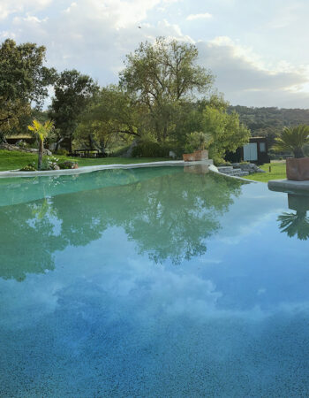 Entre Encinas y Estrellas