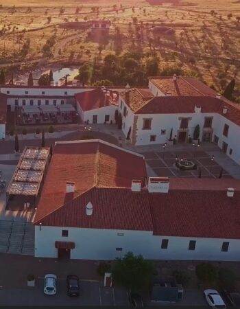 Hotel Hospes Palacio de Arenales & SPA