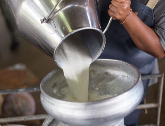 Quesos El Señorío de Monesterio