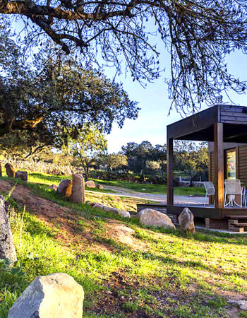 Entre Encinas y Estrellas