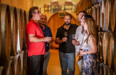 A cada vino, su queso