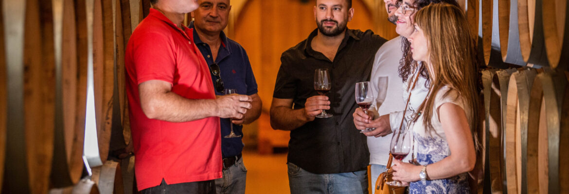 A cada vino, su queso