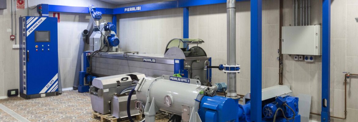 Raíces y Excelencia: Viaje en el Olivar Cigüeña Negra