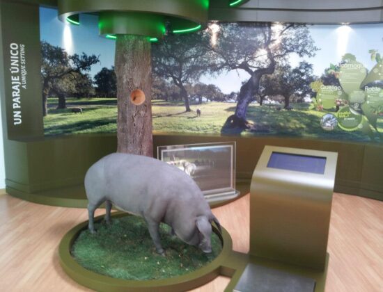 Museo del Jamón Ibérico de Monesterio