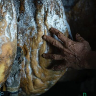 Dehesa de Solana